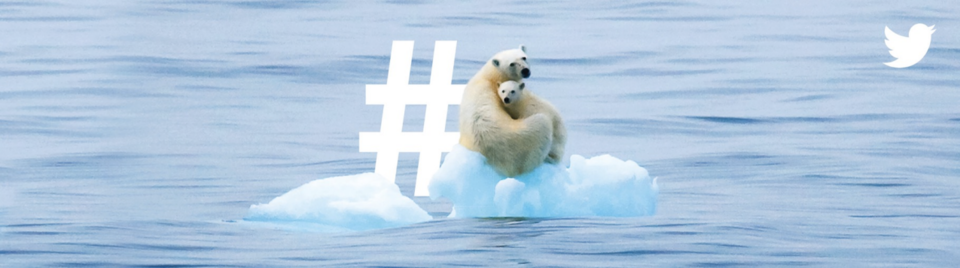 Twitter Billboard Bulletin Polarbears