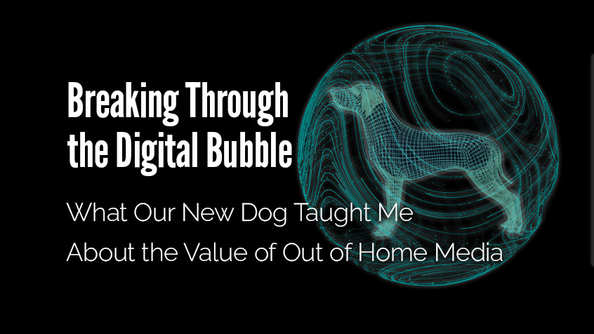 Breaking Through the Digital Bubble: What Our New Dog Taught Me About the Value of Out of Home Media
