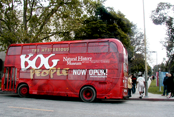 nhm_bogbus_02