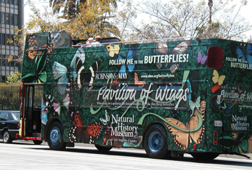 nhm_butterflybus_01