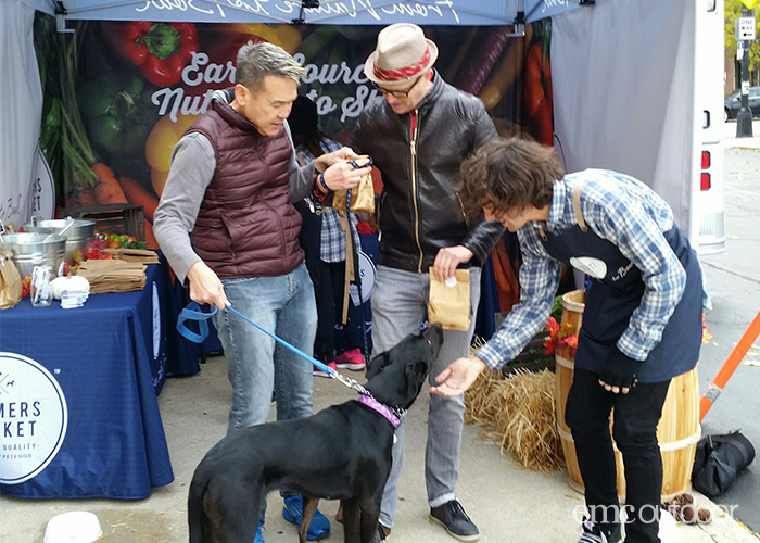 Farmer's Market